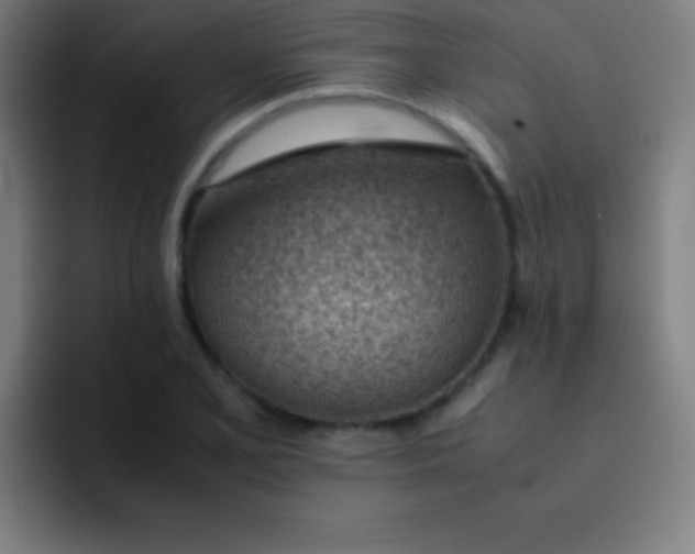 X0000091471077200709241301