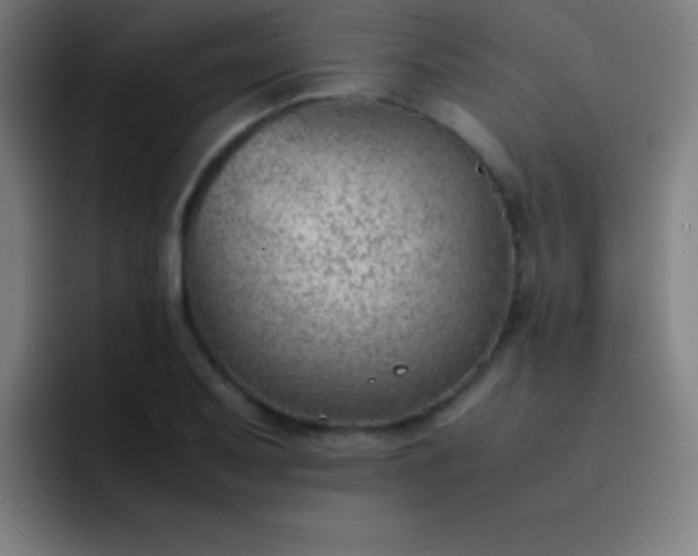 X0000091471079200709241301