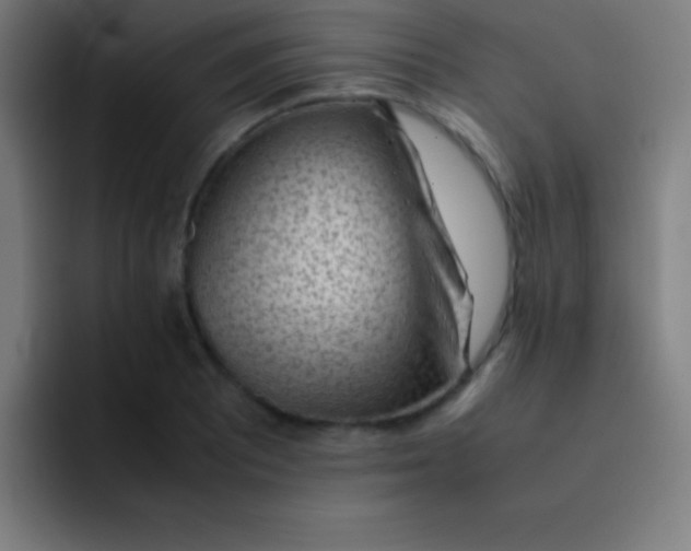 X0000091471081200709241301