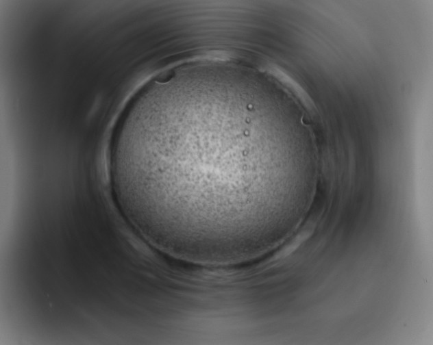 X0000091471083200709241301