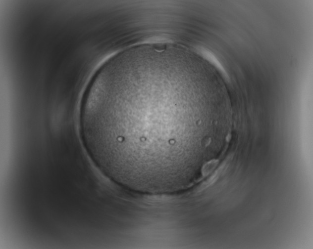 X0000091471087200709241301