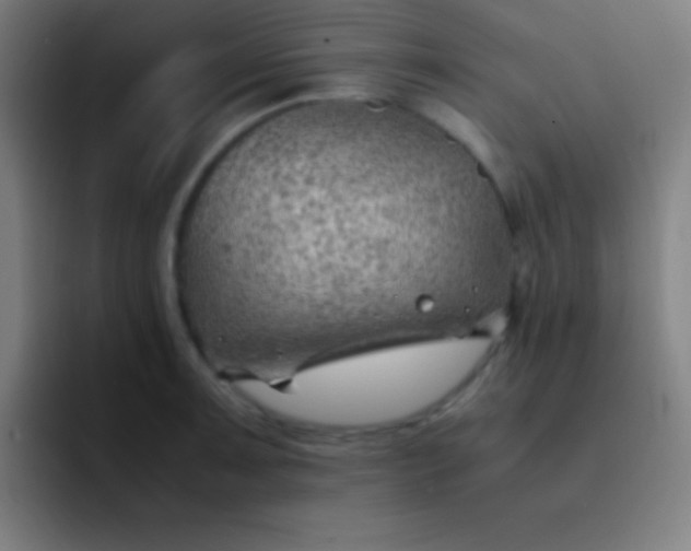 X0000091471091200709241301