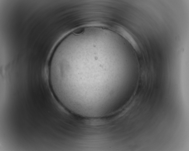 X0000091471092200709241301