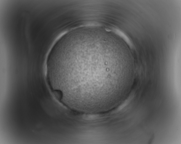 X0000091471095200709241301