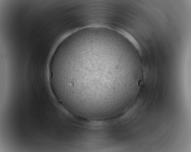 X0000091471096200709241301