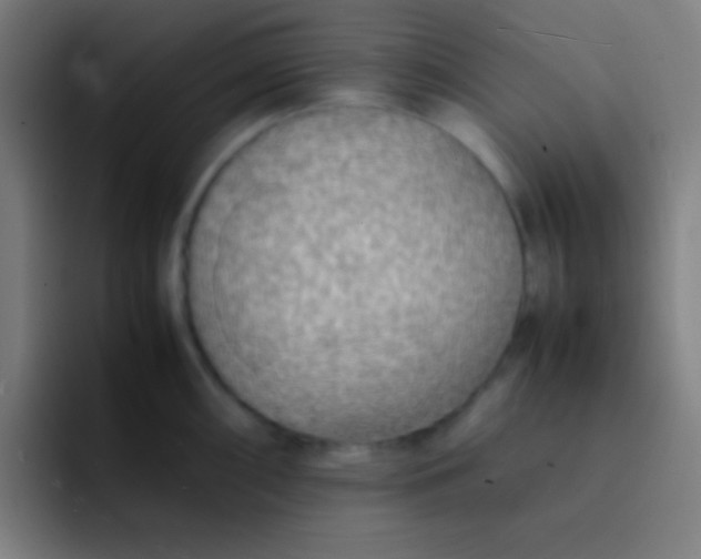 X0000091471098200709241301