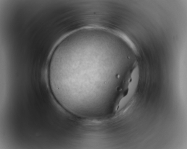 X0000091471100200709241301