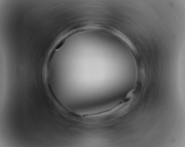 X0000091471101200709241301