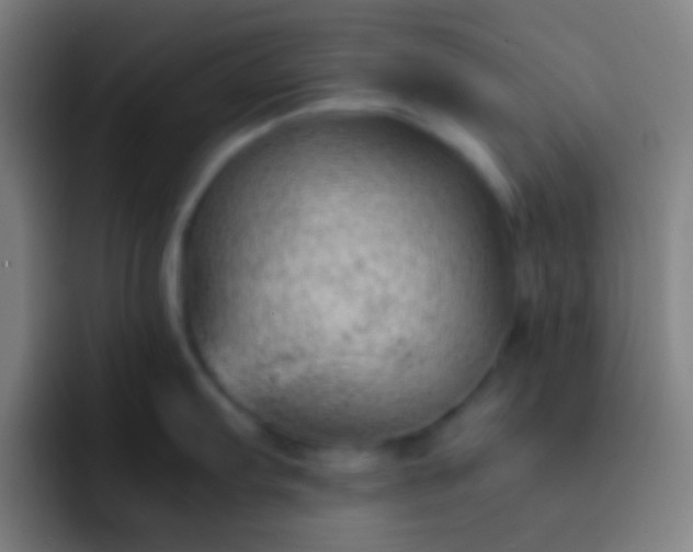 X0000091471103200709241301