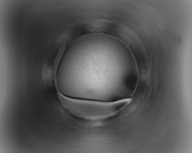 X0000091471108200709241300