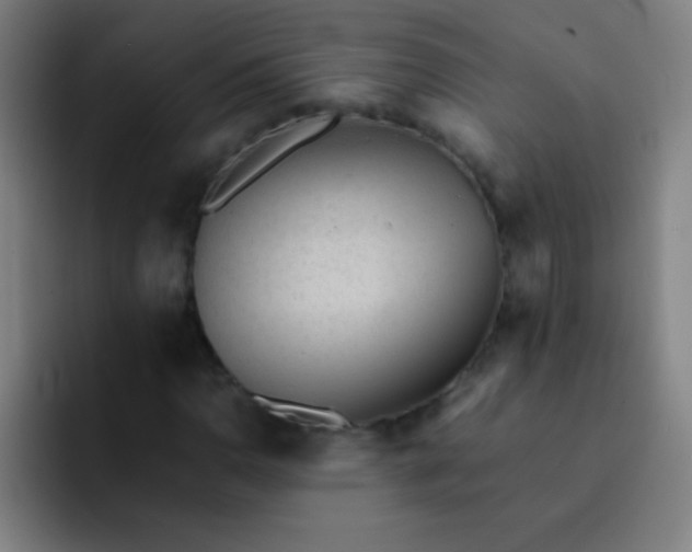 X0000091471110200709241300