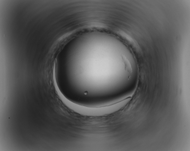 X0000091471112200709241300