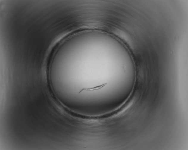 X0000091471114200709241300