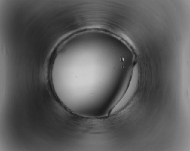 X0000091471116200709241300