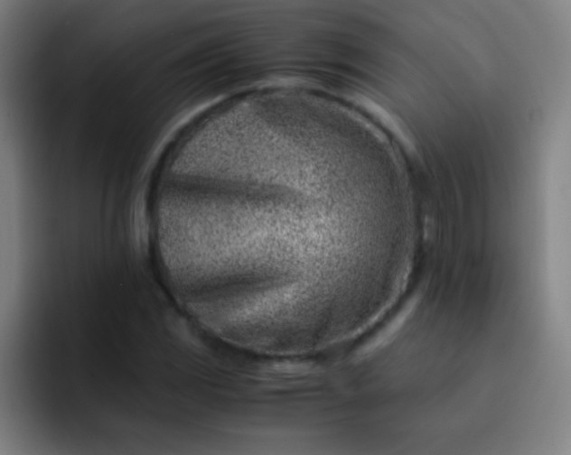 X0000091471117200709241300