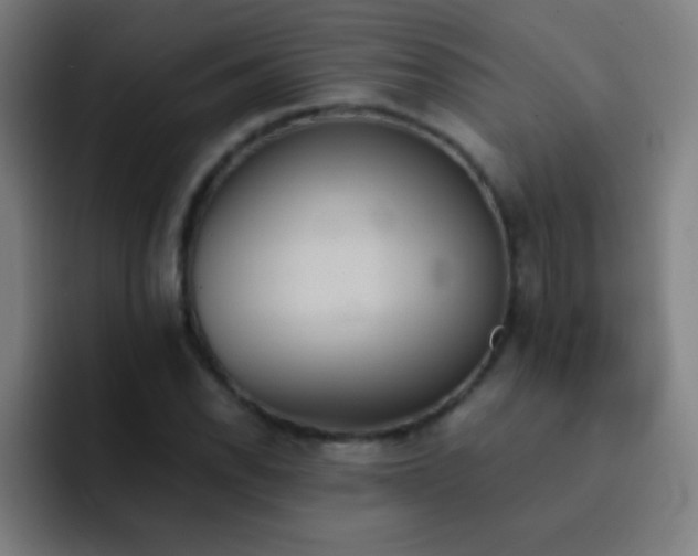 X0000091471118200709241300