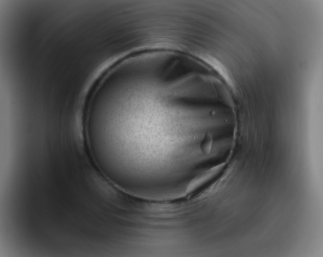 X0000091471120200709241300