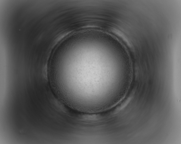 X0000091471121200709241300