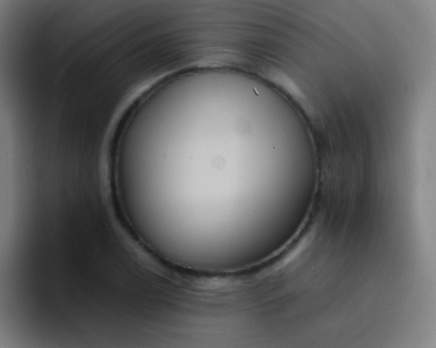 X0000091471122200709241300