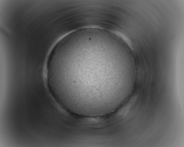 X0000091471125200709241300