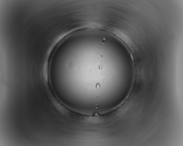 X0000091471128200709241300