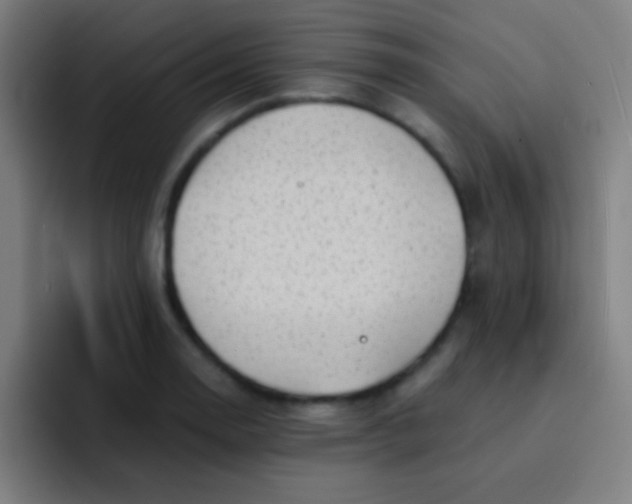 X0000091471130200709241300