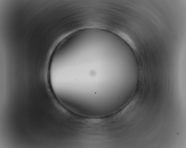 X0000091471136200709241300