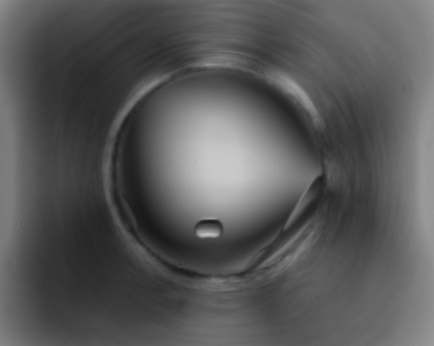 X0000091471138200709241301