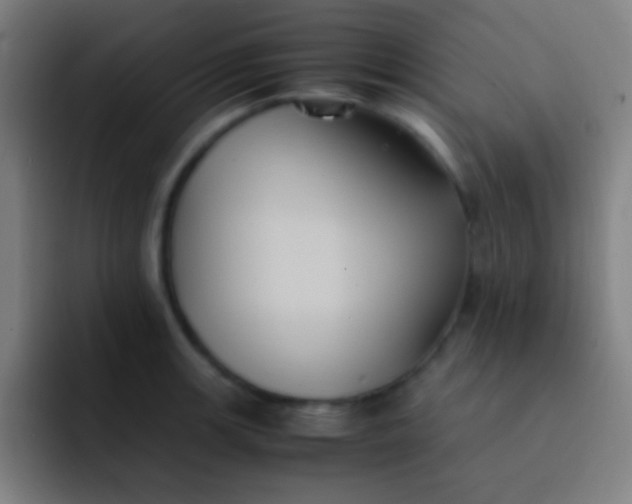 X0000091471139200709241301