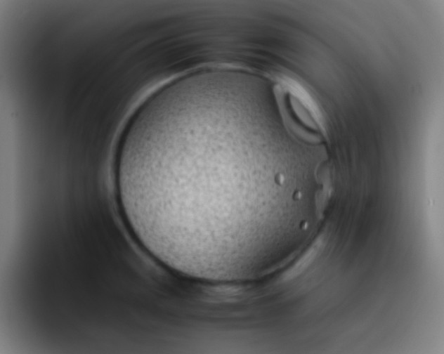 X0000091471141200709241301