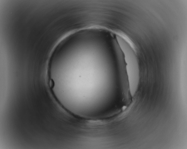 X0000091471142200709241301