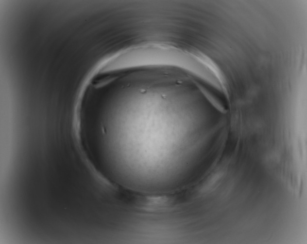 X0000091471144200709241301