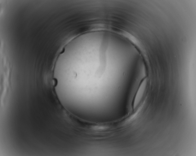 X0000091471145200709241301