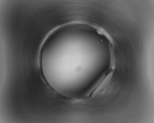 X0000091471148200709241301