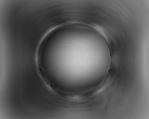 X0000091471149200709241301