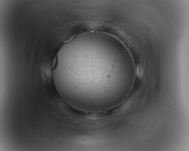 X0000091471155200709241300