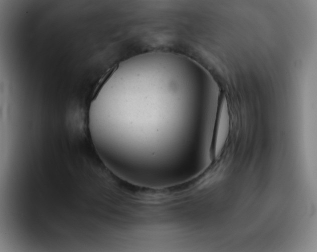 X0000091471156200709241300