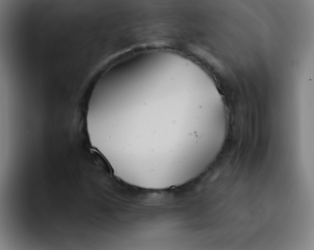 X0000091471160200709241300