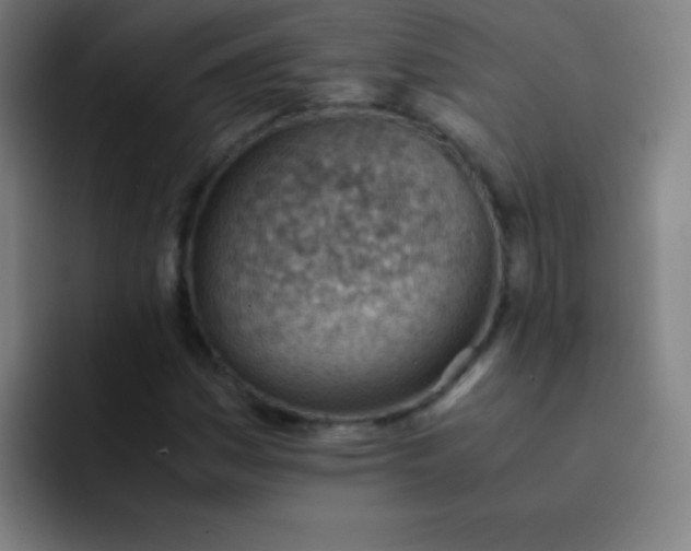 X0000091471161200709241300