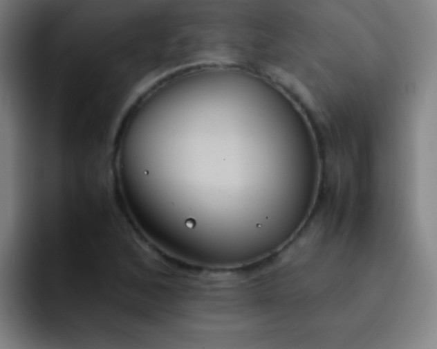 X0000091471168200709241300