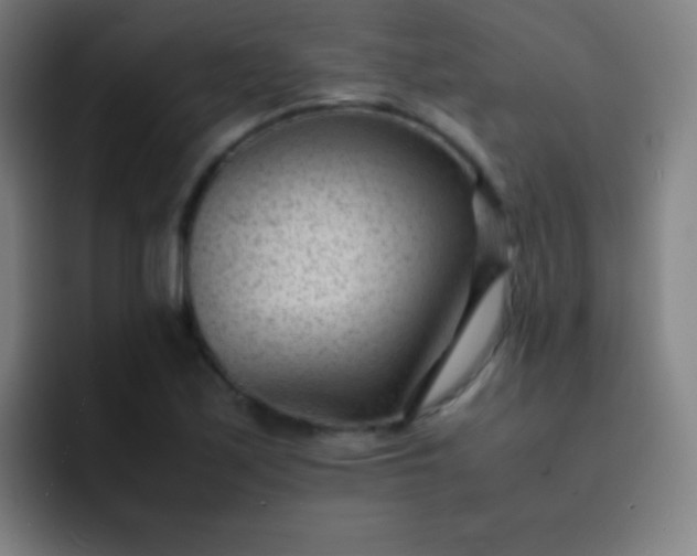 X0000091471171200709241300