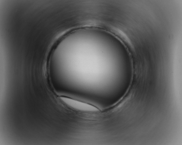 X0000091471172200709241300