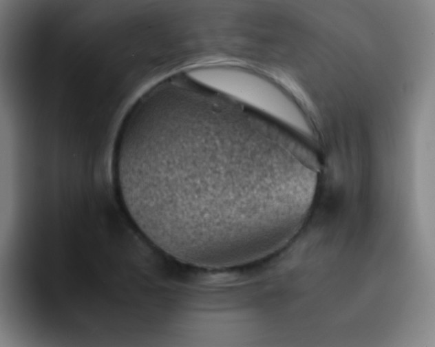 X0000091471173200709241300