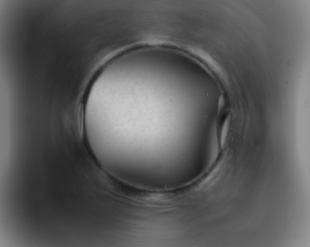 X0000091471175200709241300