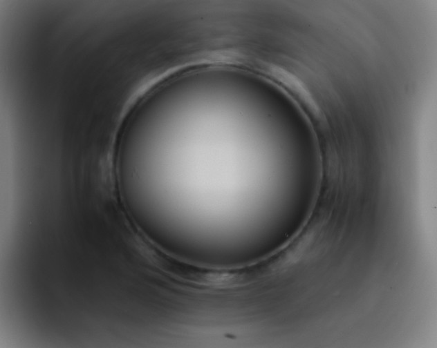 X0000091471176200709241300