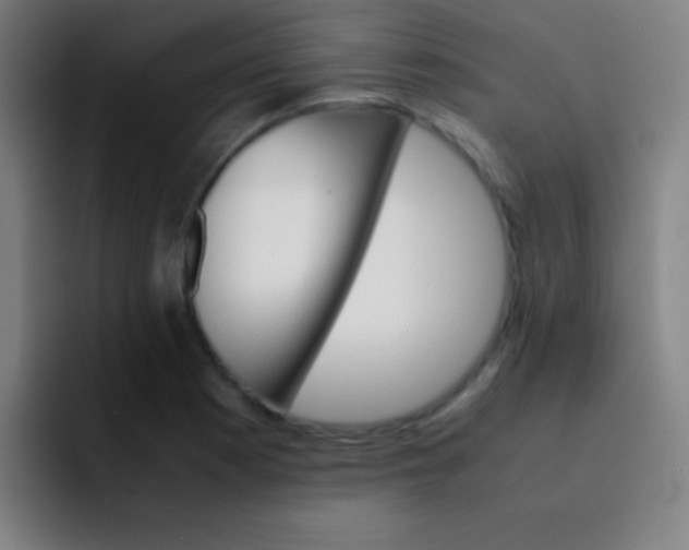 X0000091471177200709241300