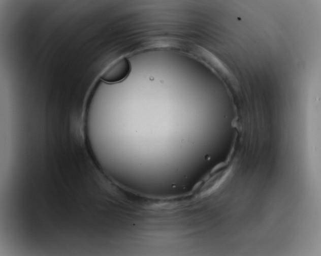 X0000091471178200709241300