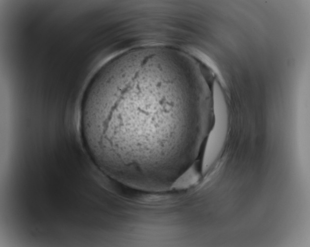 X0000091471179200709241300