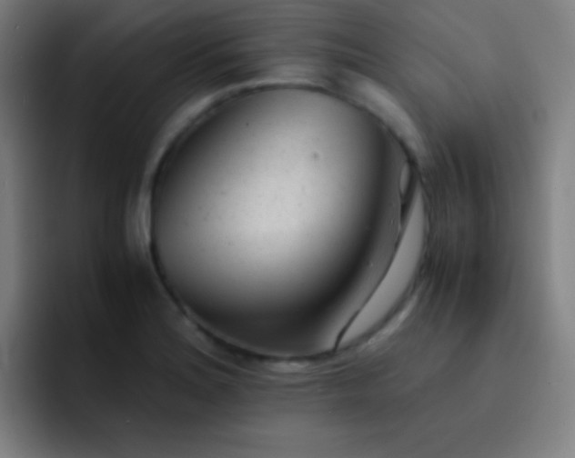 X0000091471180200709241300