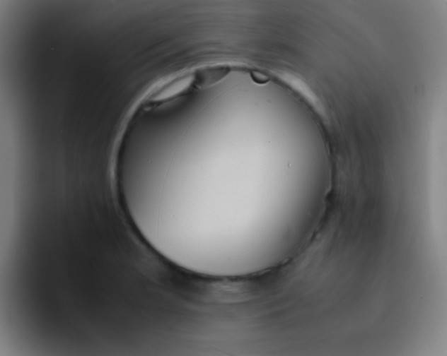 X0000091471181200709241300